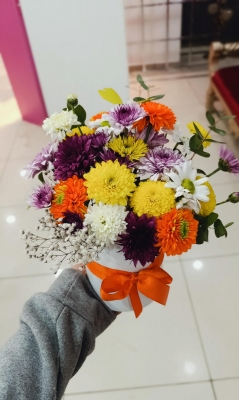 kasımpatı seramikte